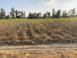  Land for sale in Ubon Ratchathani, Na Samai, Trakan Phuet Phon, Ubon Ratchathani