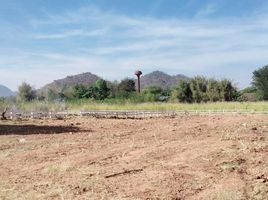  Grundstück zu verkaufen in Pak Chong, Nakhon Ratchasima, Nong Nam Daeng, Pak Chong