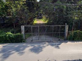  Land for sale in San Sai, Chiang Mai, San Sai Luang, San Sai