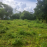  Land for sale in Koh Samui Surat Thani, Maret