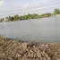  Grundstück zu verkaufen in Rong Hip, Samut Songkhram, Rong Hip, Bang Khonthi, Samut Songkhram