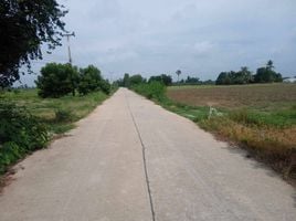  Grundstück zu verkaufen in Nong Ya Sai, Suphan Buri, Nong Ya Sai, Nong Ya Sai