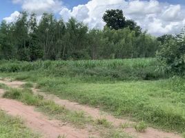  Land for sale in Khon Kaen, Nong Song Hong, Nong Song Hong, Khon Kaen