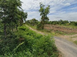  Grundstück zu verkaufen in Ongkharak, Nakhon Nayok, Bueng San, Ongkharak, Nakhon Nayok
