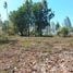  Land for sale in Don Sak Surat Thani, Don Sak, Don Sak