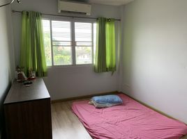 4 Schlafzimmer Reihenhaus zu verkaufen im Suetrong Grand Home Kaset-Ratchayothin, Sena Nikhom, Chatuchak, Bangkok
