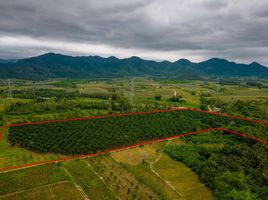  Grundstück zu verkaufen in Mueang Prachuap Khiri Khan, Prachuap Khiri Khan, Bo Nok