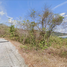  Land for sale in Ko Lanta Yai, Ko Lanta, Ko Lanta Yai