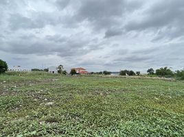  Land for sale in Dokmai, Prawet, Dokmai