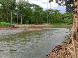  Grundstück zu verkaufen in Mueang Nakhon Nayok, Nakhon Nayok, Hin Tang