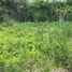  Land for sale in Thung Song Hong, Lak Si, Thung Song Hong