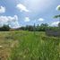  Land for sale in Rawai, Phuket Town, Rawai