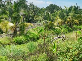  Land for sale in Bang Chueak Nang, Taling Chan, Bang Chueak Nang