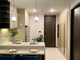 1 Bedroom Apartment for rent at Laviq Sukhumvit 57, Khlong Tan Nuea, Watthana, Bangkok, Thailand
