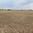 Grundstück zu verkaufen in Huai Yai, Nakhon Sawan, Huai Yai, Nong Bua, Nakhon Sawan