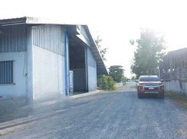  Warehouse for rent in Thailand, Phra Prathon, Mueang Nakhon Pathom, Nakhon Pathom, Thailand