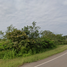  Land for sale in Nakhon Phanom, That Phanom, That Phanom, Nakhon Phanom