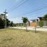  Land for sale in Mae Rim Chiang Mai, Huai Sai, Mae Rim, Chiang Mai