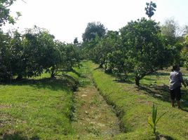  Land for sale in Bang Nang Li, Amphawa, Bang Nang Li