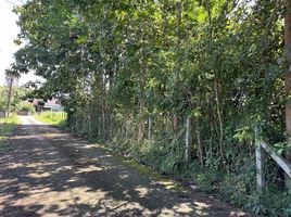  Land for sale in Kong Khwai, Mueang Nan, Kong Khwai