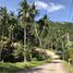  Land for sale in Maenam, Surat Thani, Maenam