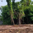  Land for sale in Mueang Chon Buri, Chon Buri, Nong Mai Daeng, Mueang Chon Buri