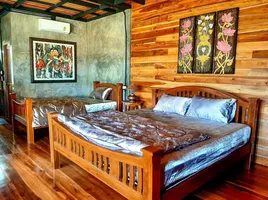 3 спален Дом for rent in Mueang Chiang Mai Чианг Маи, San Phisuea