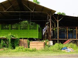  Grundstück zu verkaufen in Probolinggo, East Jawa, Sumber, Probolinggo