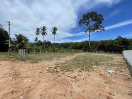  Grundstück zu verkaufen in Koh Samui, Surat Thani, Na Mueang