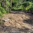  Grundstück zu verkaufen in Mueang Ranong, Ranong, Ko Phayam