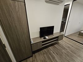 1 Schlafzimmer Appartement zu vermieten im B-Loft Lite Sukhumvit 115, Thepharak