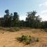  Land for sale in Presidente Figueiredo, Amazonas, Presidente Figueiredo