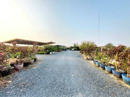  Land for sale in Nong Pho, Nong Ya Sai, Nong Pho