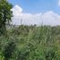  Land for sale in Nakhon Chai Si Nakhon Pathom, Tha Tamnak, Nakhon Chai Si, Nakhon Pathom