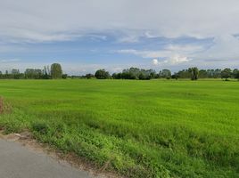  Grundstück zu verkaufen in Sam Chuk, Suphan Buri, Ban Sa