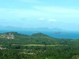  Grundstück zu verkaufen in Koh Samui, Surat Thani, Taling Ngam, Koh Samui