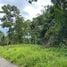  Land for sale in Koh Samui Surat Thani, Lipa Noi, Koh Samui, Surat Thani
