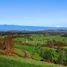  Grundstück zu verkaufen in Valdivia, Los Rios, Los Lagos, Valdivia, Los Rios, Chile