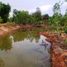  Land for sale in Nai Mueang, Chaiyaphum, Nai Mueang, Mueang Chaiyaphum, Chaiyaphum