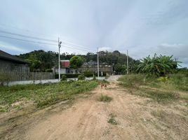  Land for sale in Phuket International Airport, Mai Khao, Sakhu