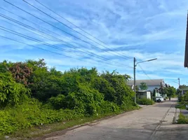  Земельный участок for sale in Mueang Surat Thani Сураттани, Bang Kung, Mueang Surat Thani, Сураттани, Таиланд