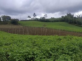  Grundstück zu verkaufen in Marinilla, Antioquia, Marinilla, Antioquia, Kolumbien