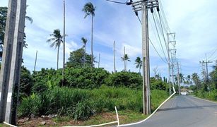 N/A Land for sale in Chalong, Phuket 