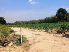  Land for sale in Makham Khu, Nikhom Phatthana, Makham Khu