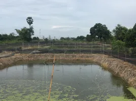  Grundstück zu verkaufen in Bang Len, Nakhon Pathom, Bang Len, Bang Len, Nakhon Pathom