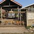  Land for sale in Ban Pet, Khon Kaen, Ban Pet