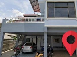 14 Bedroom House for sale in Nan, Du Tai, Mueang Nan, Nan