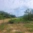  Land for sale in Thalang, Phuket, Pa Khlok, Thalang