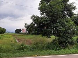  Land for sale in Chiang Rai, Mae Rai, Mae Chan, Chiang Rai