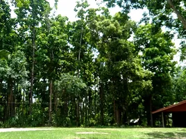  Grundstück zu verkaufen in Mueang Mukdahan, Mukdahan, Ban Khok